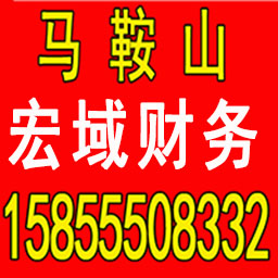 ​马鞍山财务公司专业代理记账报税注册公司资质办理商标注册验资注销变更